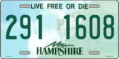NH license plate 2911608