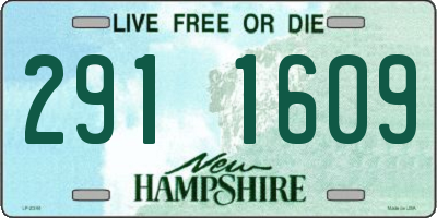 NH license plate 2911609