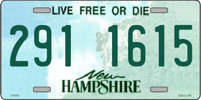 NH license plate 2911615