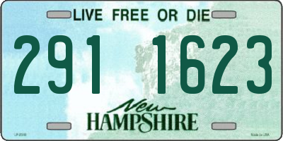 NH license plate 2911623