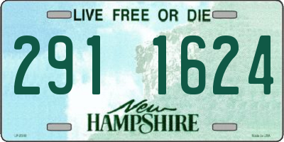 NH license plate 2911624