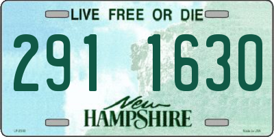 NH license plate 2911630