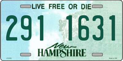 NH license plate 2911631
