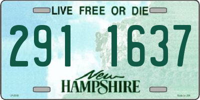 NH license plate 2911637