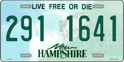 NH license plate 2911641