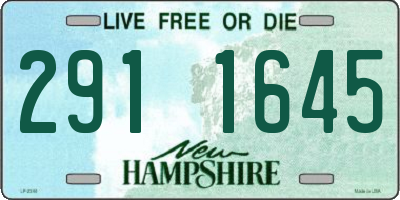 NH license plate 2911645