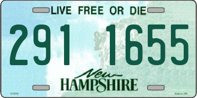 NH license plate 2911655
