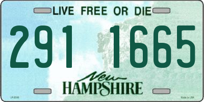 NH license plate 2911665