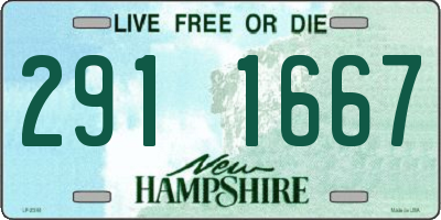NH license plate 2911667