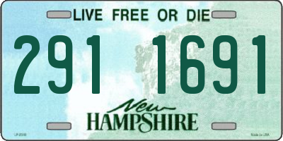 NH license plate 2911691