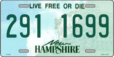 NH license plate 2911699