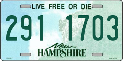NH license plate 2911703