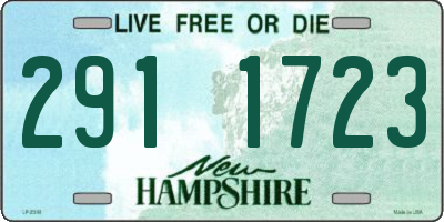 NH license plate 2911723