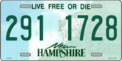 NH license plate 2911728