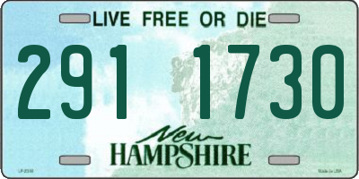 NH license plate 2911730