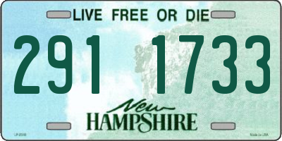 NH license plate 2911733