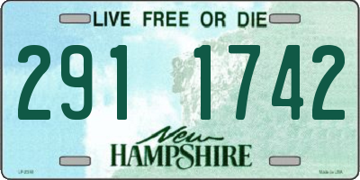 NH license plate 2911742