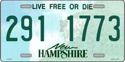 NH license plate 2911773