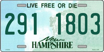 NH license plate 2911803