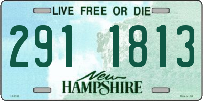 NH license plate 2911813