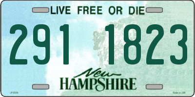 NH license plate 2911823