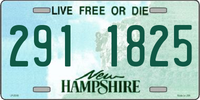NH license plate 2911825
