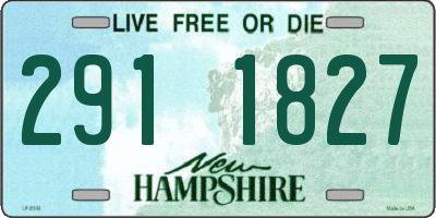 NH license plate 2911827