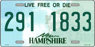 NH license plate 2911833