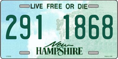 NH license plate 2911868