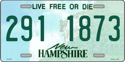 NH license plate 2911873