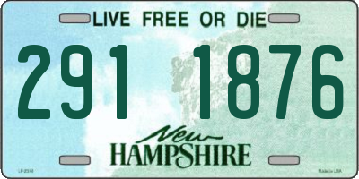 NH license plate 2911876