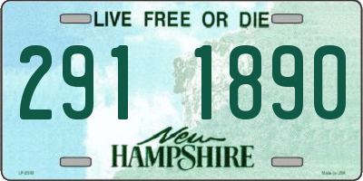 NH license plate 2911890