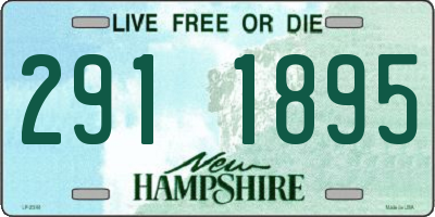 NH license plate 2911895