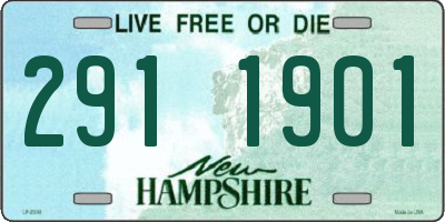 NH license plate 2911901