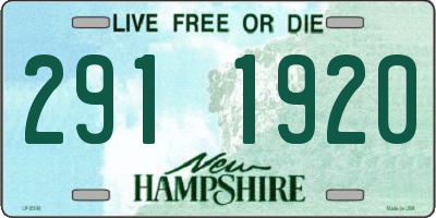 NH license plate 2911920