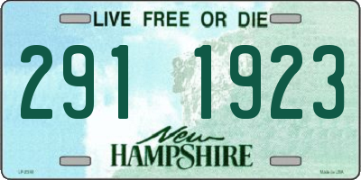 NH license plate 2911923