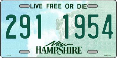 NH license plate 2911954