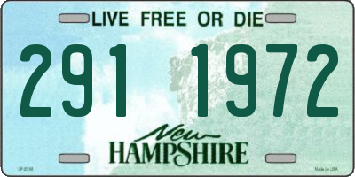NH license plate 2911972