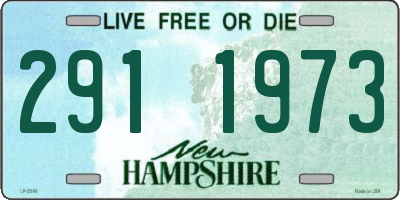NH license plate 2911973