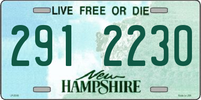 NH license plate 2912230