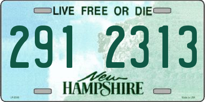 NH license plate 2912313