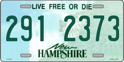 NH license plate 2912373
