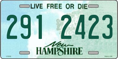 NH license plate 2912423