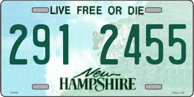 NH license plate 2912455