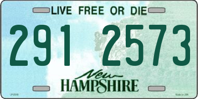 NH license plate 2912573