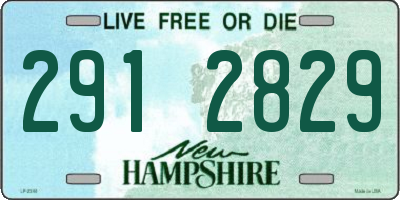 NH license plate 2912829