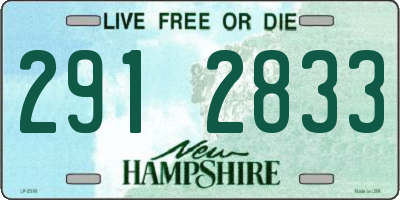 NH license plate 2912833