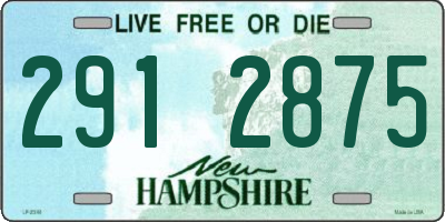 NH license plate 2912875