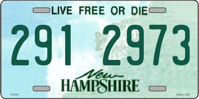 NH license plate 2912973
