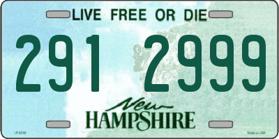 NH license plate 2912999
